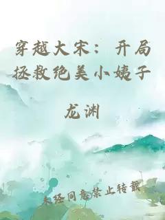 穿越大宋：开局拯救绝美小姨子